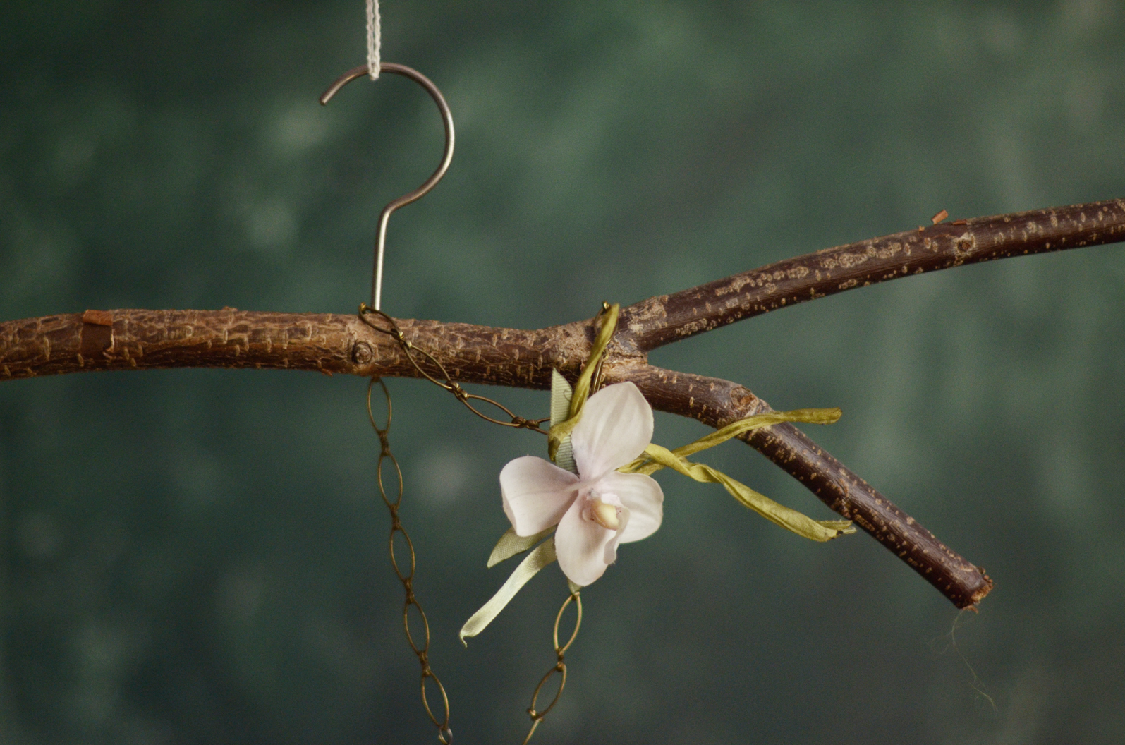 Orchis fatalis