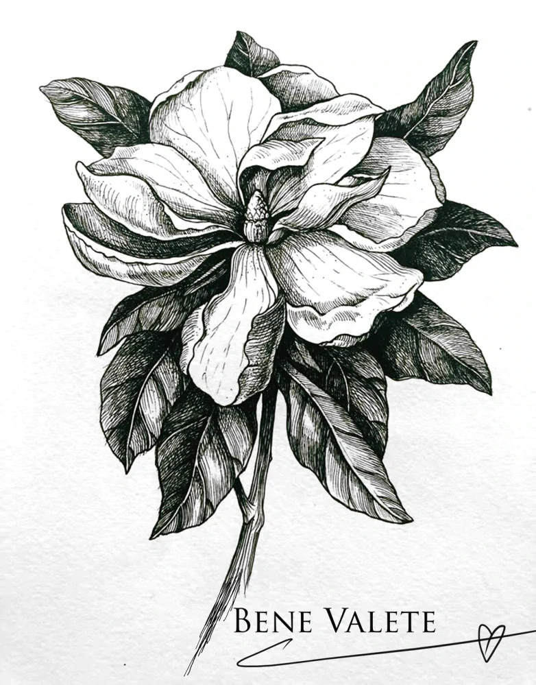 Botanická magnólie "Bene Valete"