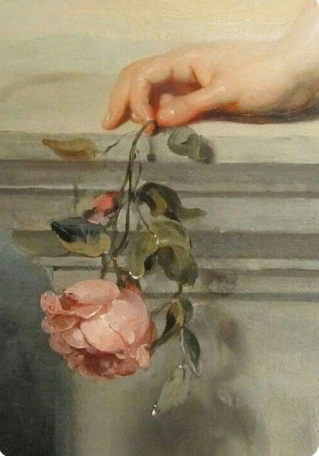 Vzorek | Rose Lavande