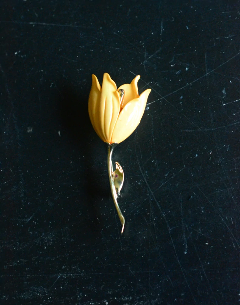 Žlutý tulipán
