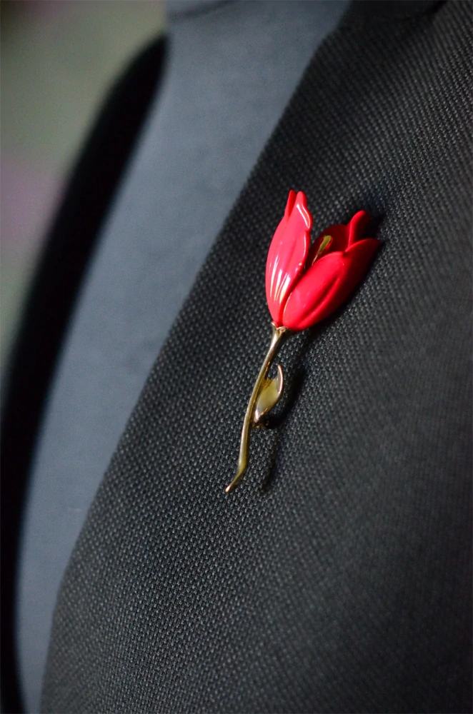 Červený tulipán