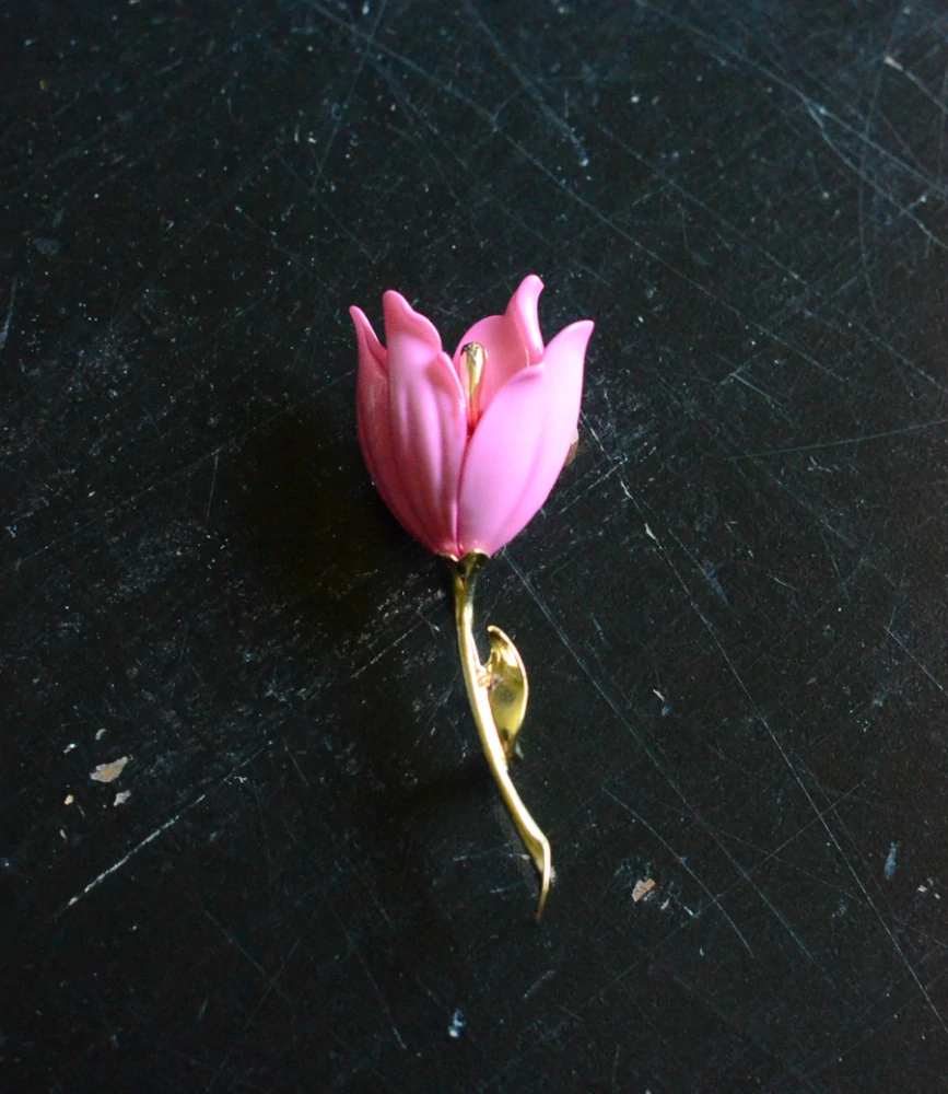 Růžový tulipán
