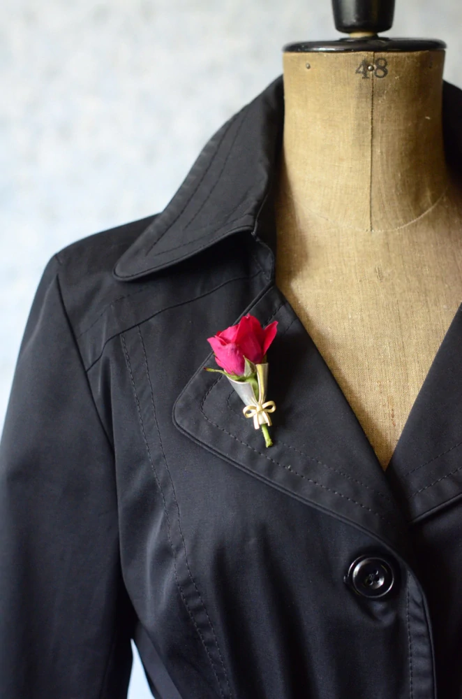 Váš pugét