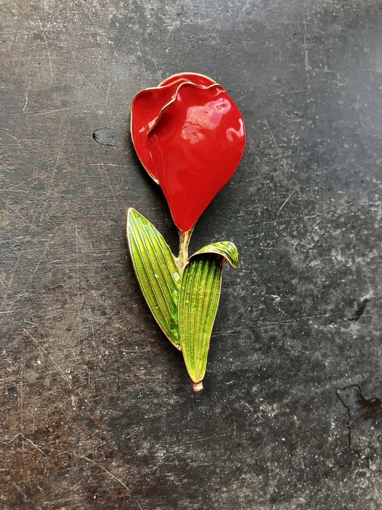 Velký tulipán