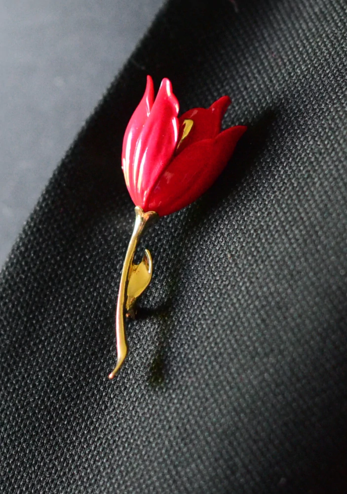 Červený tulipán