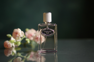 Vzorek | Infusion d'Oeillet