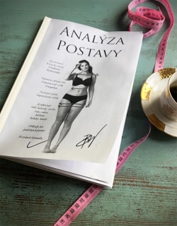 ANALÝZA POSTAVY aneb "Manuál k sobě samé"