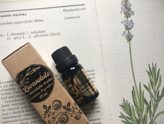 Levandule z mořského břehu