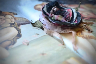 Ze sna vytržená ... IV.