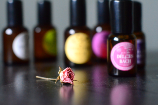 Vzorek | jednotlivě | Les Fleurs de Bach