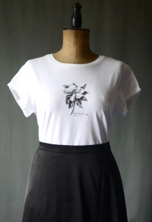 Botanická magnólie "Bene Valete"