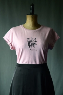 Botanická magnólie "Bene Valete"