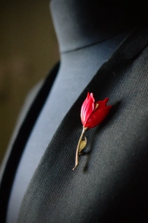 Červený tulipán