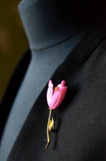 Růžový tulipán