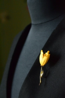 Žlutý tulipán