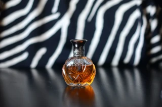 Vzorek | SAFARI / Ralph Lauren