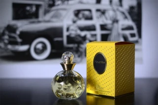 Vzorek | DOLCE VITA / Dior